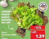 Aktuelles Dtsch. Multicolor-Salat Angebot bei Kaufland in Duisburg ab 1,29 €