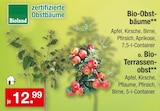 Bio-Obstbäume oder Bio-Terrassenobst Angebote von Bioland bei Zimmermann Göttingen für 12,99 €