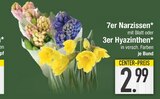 7er Narzissen oder 3er Hyazinthen von  im aktuellen EDEKA Prospekt für 2,99 €