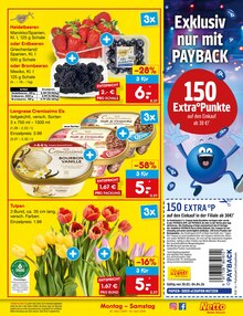 Eis im Netto Marken-Discount Prospekt "Aktuelle Angebote" mit 65 Seiten (Mönchengladbach)