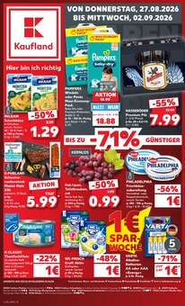 Pampers im aktuellen Kaufland Prospekt (Cottbus) Pampers im Kaufland Prospekt "Hier bin ich richtig" mit 71 Seiten (Cottbus)