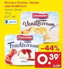 Früchte-, Vanille- oder Grießtraum bei Netto Marken-Discount im Braunschweig Prospekt für 0,39 €