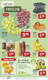 Aktueller combi Prospekt mit Zucchini, "Markt - Angebote", Seite 2