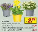 toom Baumarkt Düren Prospekt mit  im Angebot für 2,99 €