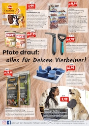 Aktueller Raiffeisen Rhein-Ahr-Eifel Handelsgesellschaft mbH Prospekt mit Bier, "Mit uns wird dein Herbst bunt!", Seite 7