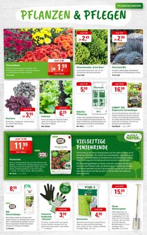 Handy im ZG Raiffeisen Prospekt "Gartenpflege im Herbst!" mit 8 Seiten (Pforzheim)