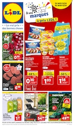 Prospectus Lidl à Épinal "À vos marques à prix Lidl !", 50 pages, 10/04/2024 - 16/04/2024