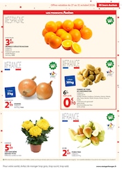 Promos Chrysanthèmes dans le catalogue "25 JOURS AUCHAN" de Auchan Hypermarché Chrysanthèmes en promo dans le catalogue Auchan Hypermarché à la page 15