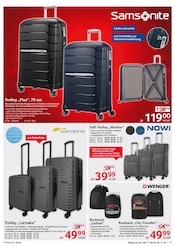 Aktueller Selgros Prospekt mit Trolley, "cash & carry", Seite 11