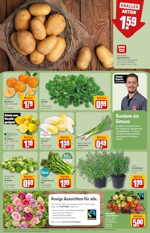 Blumen im REWE Prospekt "Dein Markt" mit 30 Seiten (Herne)