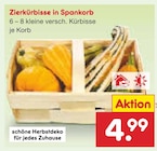 Aktuelles Zierkürbisse in Spankorb Angebot bei Netto Marken-Discount in Halle (Saale) ab 4,99 €