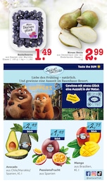 Aktueller E center Prospekt mit Obst, "Aktuelle Angebote", Seite 19