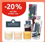 Aktuelle Kerzen Angebote bei EDEKA in Offenbach (Main) Aktuelles 20% Rabatt Angebot bei EDEKA in Offenbach (Main)