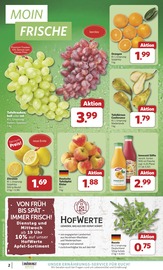 Aktueller combi Prospekt mit Mango, "Markt - Angebote", Seite 2