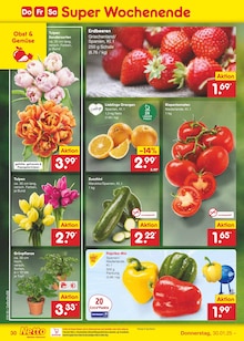 Blumen im Netto Marken-Discount Prospekt "Aktuelle Angebote" mit 59 Seiten (Ulm)