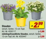 toom Baumarkt Frankenthal (Pfalz) Prospekt mit  im Angebot für 2,99 €