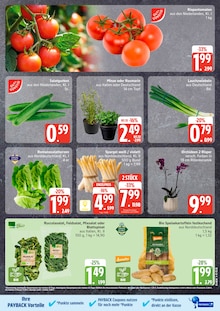 Pflanzen im EDEKA Prospekt "Top Angebote" mit 13 Seiten (Kiel)