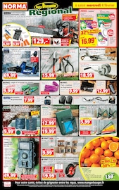Lessive Angebote im Prospekt "Votre Discounter Régional" von Norma auf Seite 1