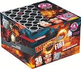 Multi-Effekt-Batterie "Infinity Fire" bei Lidl im Oberhausen Prospekt für 9,99 €