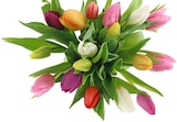 Aktuelles Tulpen Harlekin Angebot bei Penny in Oldenburg ab 5,99 €