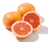 Grapefruit im aktuellen Netto mit dem Scottie Prospekt