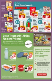 Ähnliche Angebote wie Brotdose im Prospekt "Dein Markt" auf Seite 25 von REWE in Leipzig