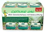 Mini-Gewächshaus-Set Angebote von Grüner Jan bei Thomas Philipps Neubrandenburg für 5,99 €