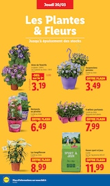 Plantes Angebote im Prospekt "Offres Flash !" von Lidl auf Seite 28