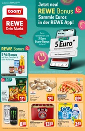 Aktueller REWE Prospekt, "Dein Markt", mit Angeboten der Woche, gültig von 13.01.2025 bis 13.01.2025