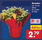 Aktuelles Moosfarn Angebot bei Netto Marken-Discount in Köln ab 2,79 €