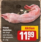 Frisches Kaninchen Angebote bei REWE Hildesheim für 11,99 €