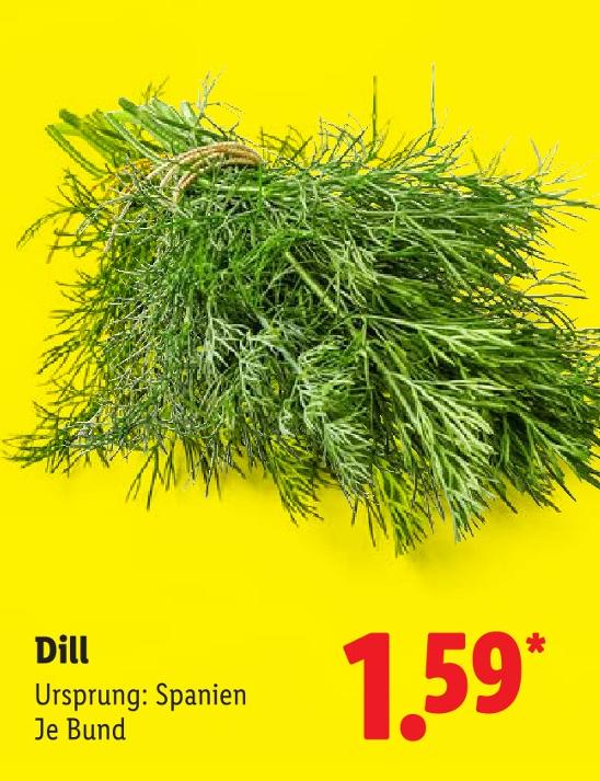 Dill