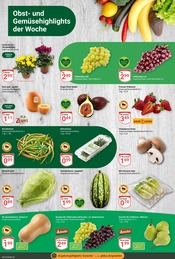 Aktueller GLOBUS Prospekt mit Erdbeeren, "Aktuelle Angebote", Seite 8
