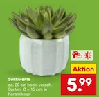 Sukkulente im Angebot bei Netto Marken-Discount in Nettetal Sukkulente Angebote bei Netto Marken-Discount Nettetal für 5,99 €