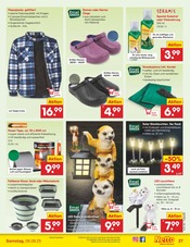 Gartendeko im Netto Marken-Discount Prospekt in Freiburg Aktueller Netto Marken-Discount Prospekt mit Gartendeko, "Aktuelle Angebote", Seite 37