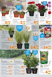 Ähnliche Angebote wie Saatgut im Prospekt "Immer eine Idee besser" auf Seite 4 von Globus-Baumarkt in Bochum