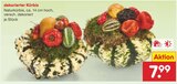 Dekorierter Kürbis für 7,99 € bei Netto Marken-Discount im Angebot Dekorierter Kürbis im aktuellen Netto Marken-Discount Prospekt