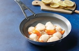 Noix de coquille Saint Jacques Pecten maximus - U - Super U à Valence Noix de coquille Saint Jacques Pecten maximus - U en promo chez Super U Valence à 10,90 €