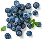 Kulturheidelbeeren im aktuellen Kaufland Prospekt