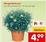 Aktuelle Blumen Angebote bei Netto Marken-Discount in Wuppertal Aktuelles Margeritenbusch Angebot bei Netto Marken-Discount in Wuppertal ab 4,99 €