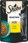 Katzennassnahrung Angebote von Sheba bei Netto mit dem Scottie Bautzen für 0,49 €