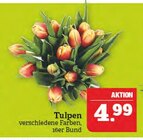 Aktuelles Tulpen Angebot bei Marktkauf in Nürnberg ab 4,99 €