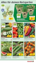 Aktueller toom Baumarkt Prospekt mit Gemüse, "Respekt, wer's selber macht.", Seite 5