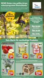 Ähnliche Lebende Futtertiere Angebote im Prospekt "Dein Markt" von REWE in Kassel Ähnliche Angebote wie Lebende Futtertiere im Prospekt "Dein Markt" auf Seite 24 von REWE in Kassel