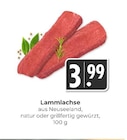 Lammlachse bei Hieber im Prospekt "" für 3,99 €