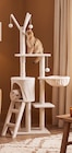 Arbre à chat dans le catalogue Gifi