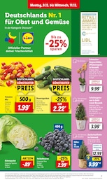 Lidl Heidelbeeren im Prospekt 