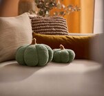Aktuelles Dekokissen-Set Kürbis Bouclé Angebot bei Lidl in Fürth ab 9,99 €