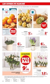 Orchidée Angebote im Prospekt "U Express" von U Express auf Seite 24