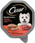 senior 10+ oder klassik-terrine Angebote von Cesar bei REWE Eberswalde für 0,69 €